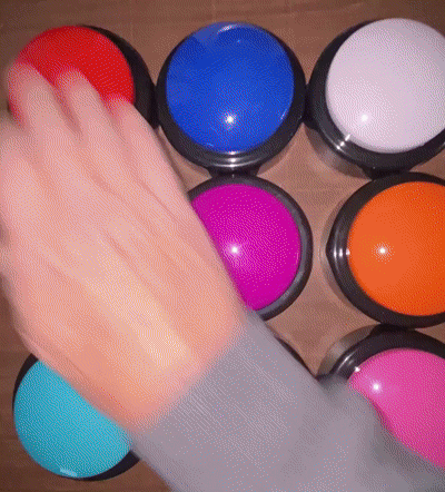 Affordable Buzzers Big Daddy Tabletop Buzzer in 10 colors for game shows and quiz games